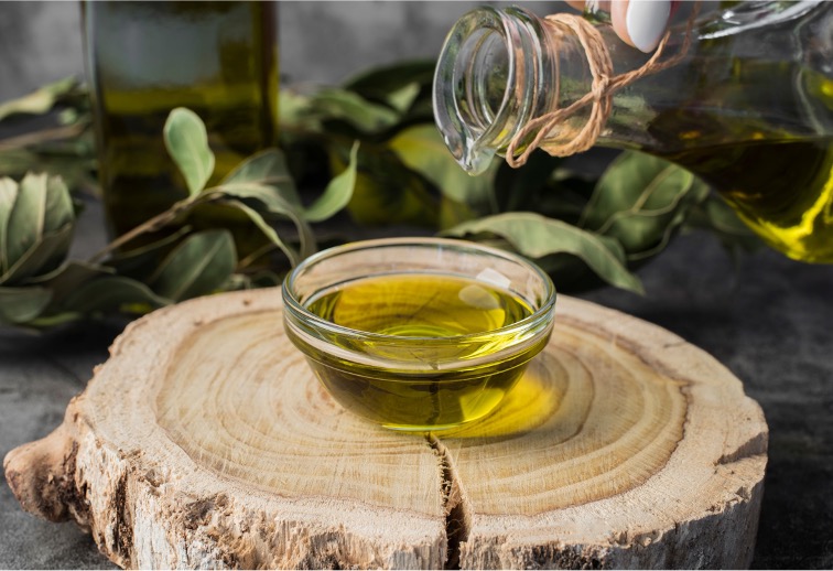 olive oil tour branch terra surti